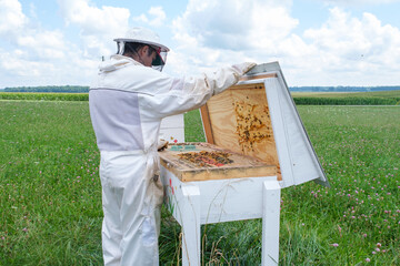 person working on beehive in a field