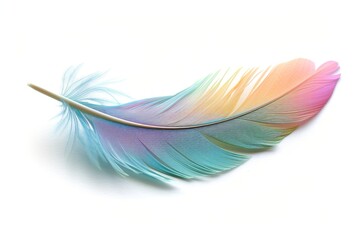 Detailed 3d illustration of colorful exotic bird feather against white background