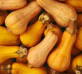 Canvas Print - Raw fresh butternut squash ready texture background, top view.