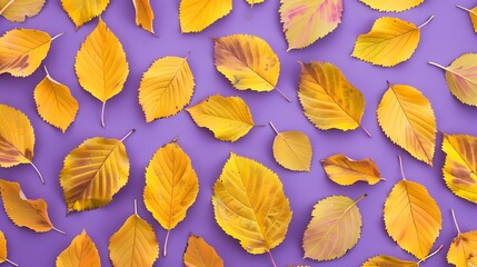 Wall Mural - Clean yellow hard leaf pattern on a violet the background