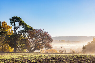 Wall Mural - Autumn mist in a rural landscape view