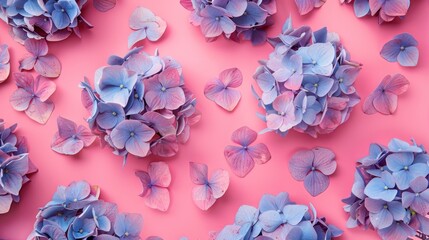 Wall Mural - Purple and Blue Hydrangeas on Pink Background