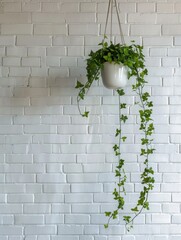 Poster - Hanging Plant on White Brick Wall