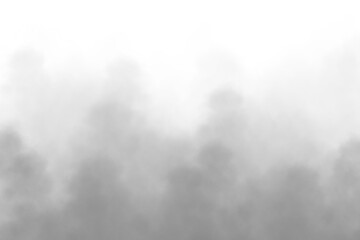 Canvas Print - gray smoke.