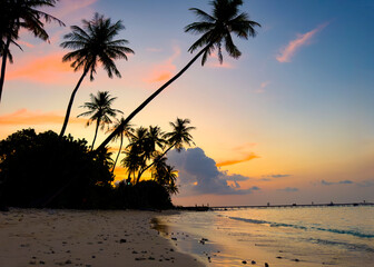 Wall Mural - Summer with sunset scene with  palm trees background as texture frame background