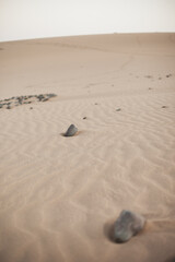 desert landscape. stones on the sand dunes closeup, beige neutral color palette.  Gran Canaria, Canary Islands, Spain.