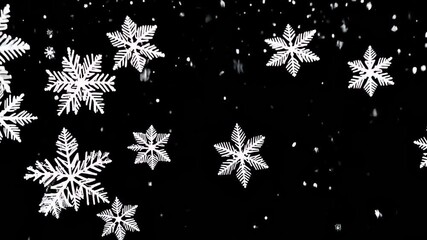 Wall Mural - Snowflakes falling from the sky in a black background