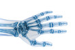 © Rawpixel.com - PNG  Detailed X-ray hand bones