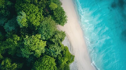 Wall Mural - Aerial view of stunning white sand beach and tropical turquoise sea