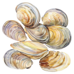 Sticker - PNG Watercolor seashells beach art