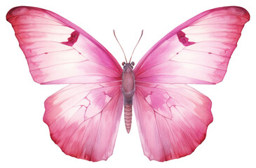 Wall Mural - PNG Elegant pink butterfly illustration