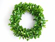 © Vlad - Wreath On White. Nature Inspired Chaplet with Green Boxwood Leaves Decoration