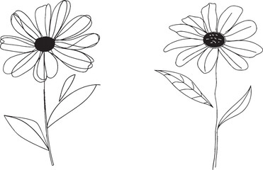 Poster - Contingent line drawing of a sunflower. Sunflower in a single continuous line. Modern illustration.