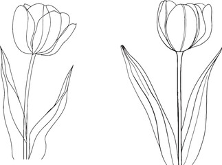 Aufkleber - An abstract spring flower concept illustrating a continuous one line drawing of a tulip. Minimalist line art.