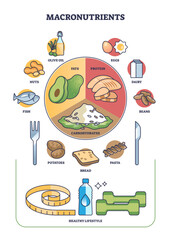 Macronutrients as fats, protein and carbohydrates complex outline diagram, transparent background. Labeled educational scheme with healthy meal division for dieting and weight loss illustration.