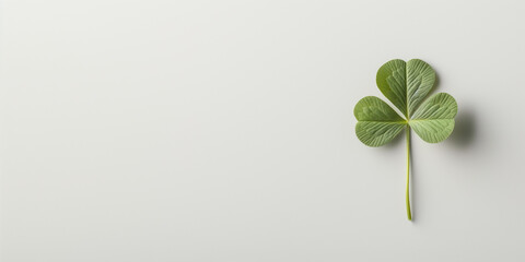 Wall Mural - A green leaf with a stem is on a white background