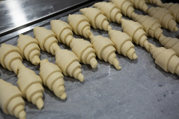 row of uncooked croissants for baking cooking food concept