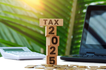 Wooden blocks with the inscription Tax 2024, coins, calculator and laptop in the background