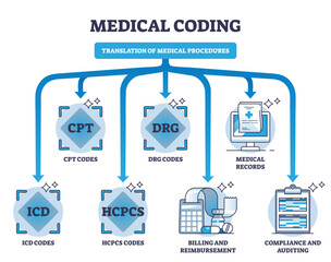 Medical coding and translation of medicine health procedures outline diagram, transparent background. Labeled educational scheme with diagnosis.