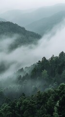 Wall Mural - Foggy Mist Over Mountain Texture Background, 4K hyperrealistic photo