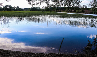 reflection of trees on lake