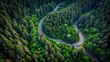 © Jotch - Aerial view of a winding mountaintop road cutting through a dark green forest, aerial view, top view, mountaintop, road