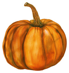 Canvas Print - Hand-drawn orange pumpkin illustration