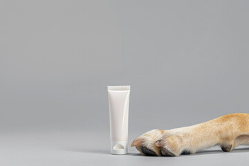 A dog's paw next to a white cream tube on a grey surface