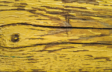 Wall Mural - Old yellow cracked paint on top of a wooden door. Texture and grunge background.