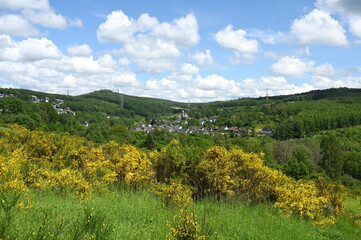 Poster - Lanschaft bei Kirchen an der Sieg im Westerwald