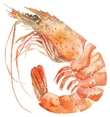 Sticker - PNG Vibrant watercolor shrimp illustration