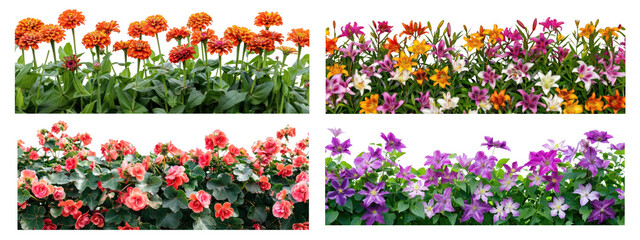 Wall Mural - Summer flower border png cut out element set