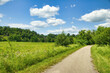 © Dave - Sunny Summer day landscape of the Root River and Harmony-Preston Valley Trails passing through farm fields and forests near Preston, Minnesota.