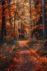 Poster - A scenic view of a winding path in the midst of a forest surrounded by lush green leaves