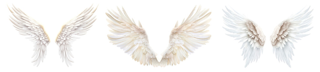 Canvas Print - Angel wings png cut out element set