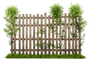 Canvas Print - Wooden fence with green plants