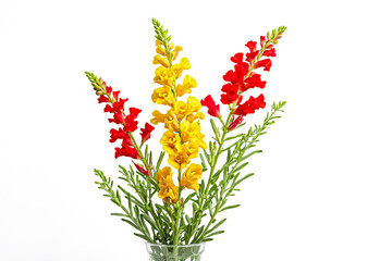 Sticker - Yellow and Red Snapdragon Bouquet