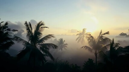 Wall Mural - A cloudy sky with a sun in the background. The sky is hazy and the sun is barely visible