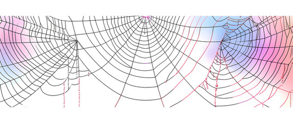 Wall Mural - Spider web line art vector