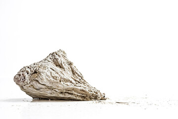 Canvas Print - Weathered Rock on White Background