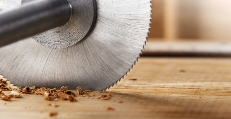 Wall Mural - Circular saw cutting wooden plank. Circular milling in oak block.