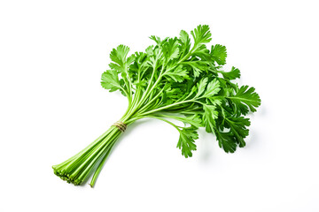 Wall Mural - Fresh Parsley Sprigs Isolated on White Background