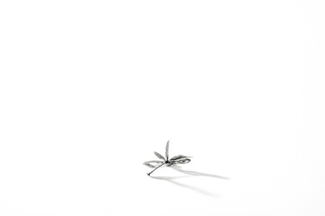 Poster - Single Leaf with Shadow on White Background