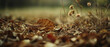 © Everlasting Dreams - Dried brown Autumn leaves and wilted weed flowers on the ground, shallow depth of field bokeh blur, warm earthy color tones of fall season, ultra wide backdrop scene.