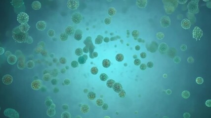 Leinwandbilder - A close-up view of a swirling, abstract pattern created by green and blue bubbles in water.