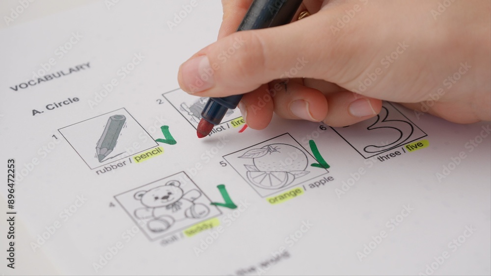 Homework Paper Test Professional school or college teacher grades a homework exam papers of ...