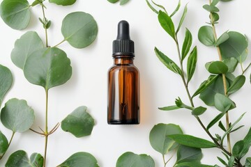 Wall Mural - Top view of Eucalyptus Essential Oil in amber bottle with leaves on white background