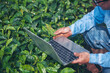 © aFotostock - Smart farmer using laptop in eco green farm sustainable quality control. Close up Hand typing laptop computer quality control plant tree. Farmer hands using technology in eco Farmland biotechnology