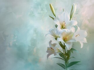 Wall Mural - White lilies on a light blue background. AI.