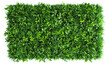 © Yeti Studio - Green plant wall panno, cut out